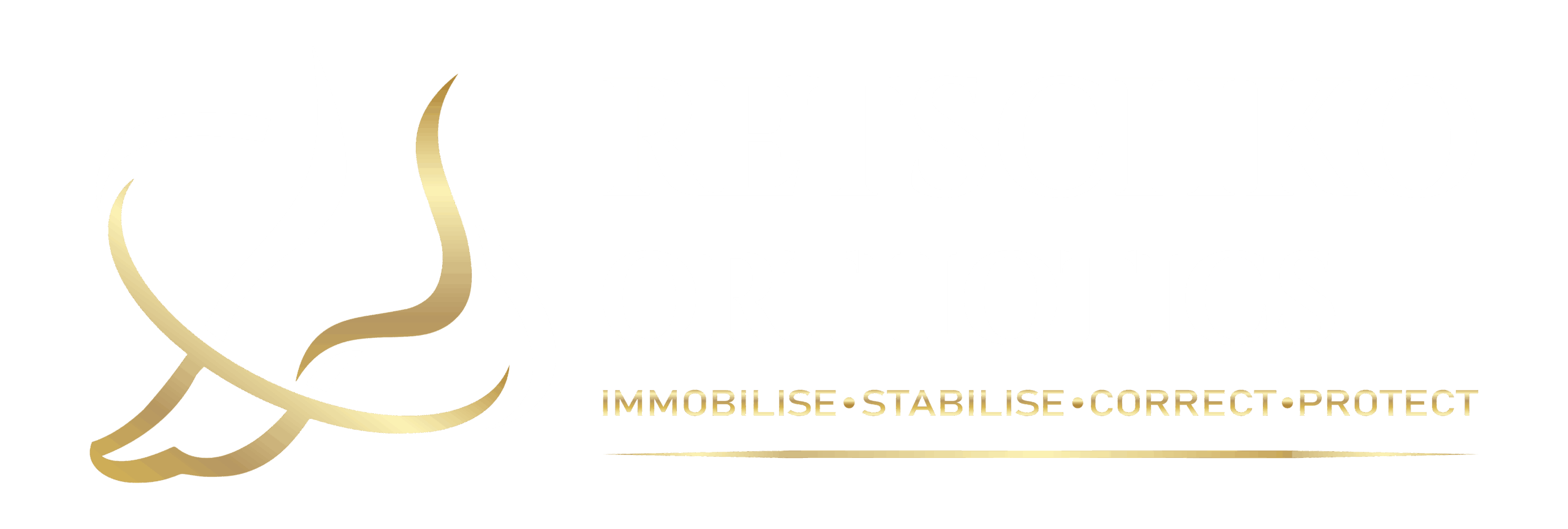 Retschko Orthotics